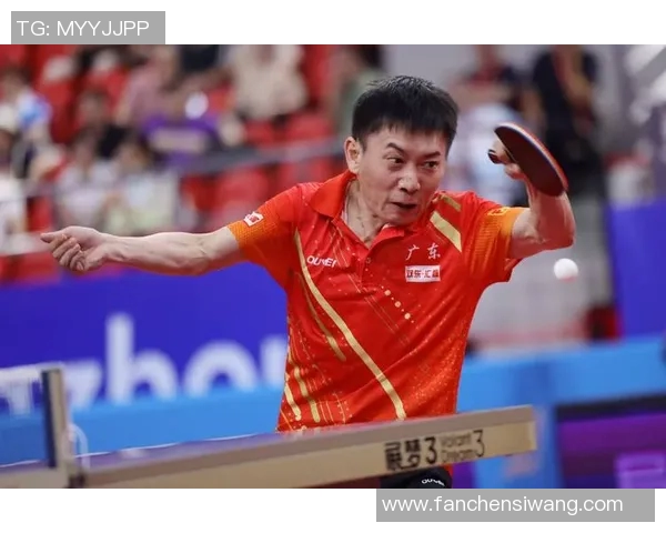 乒乓球奋斗之路：广州乒乓球队的拼搏与荣耀全记录