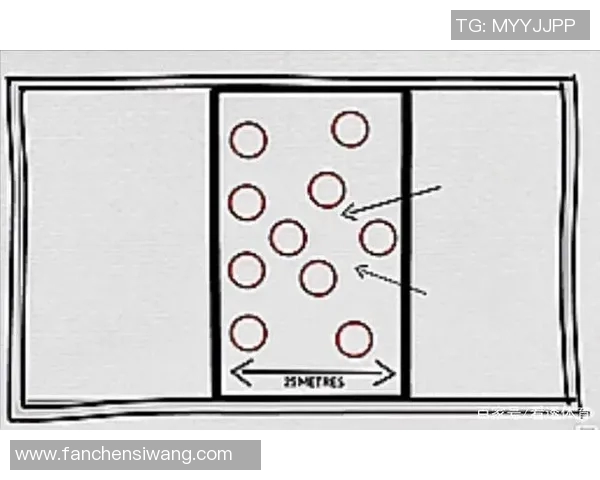 广州排球队区域防守战术深度解析与实战应用探讨