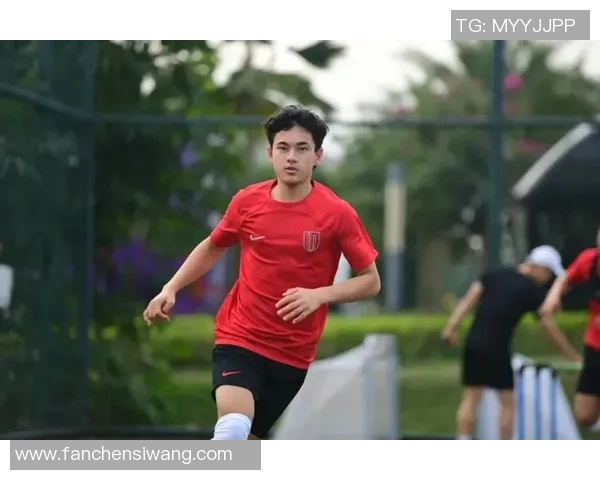 成都足球队在全国足球团队协作排行榜中荣登第九名展现出强大团队精神与实力