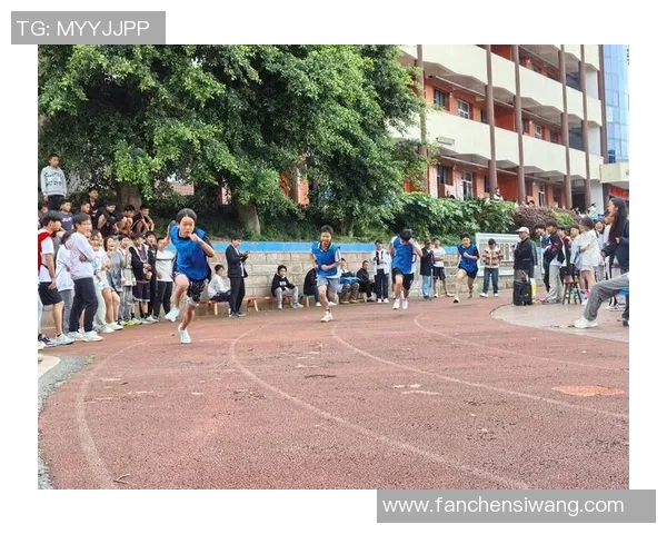 杭州排球队奋斗历程纪实：拼搏与团结铸就辉煌的青春故事